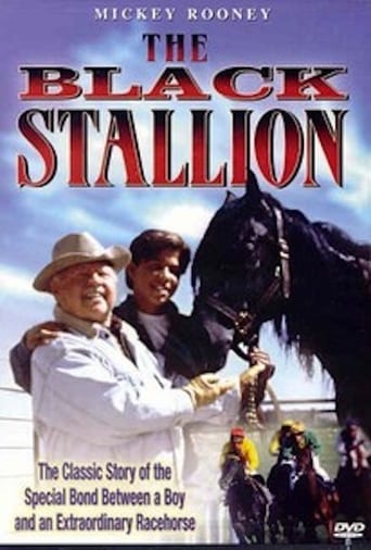 Poster of Adventures of the Black Stallion