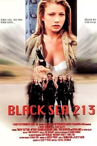 Poster of Black Sea 213