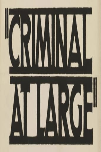 Poster of A Criminal at Large