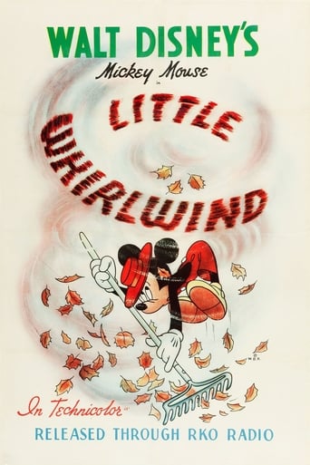 Poster of The Little Whirlwind