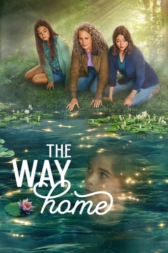 Poster of The Way Home