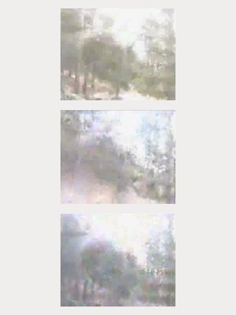 a pass Poster of a pass