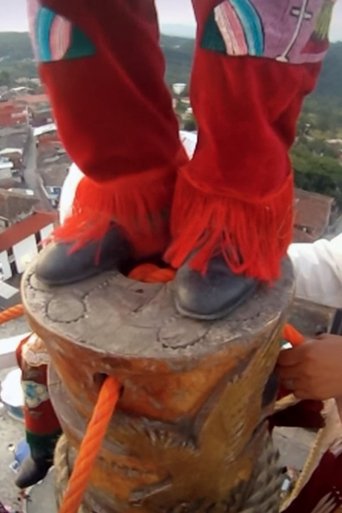 Poster of Dancing with Voladores