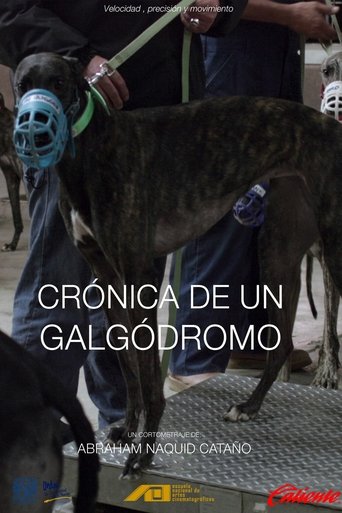 Crónica de un galgódromo Poster of Crónica de un galgódromo