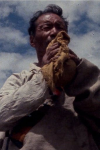 Poster of In the Birthplace of the Tibetan Nationality