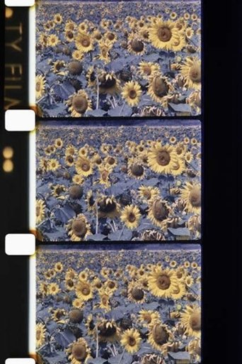 Les tournesols colorés Poster of Les tournesols colorés