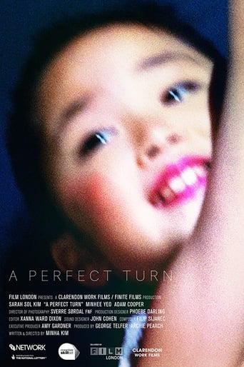 Poster of A Perfect Turn