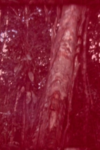 Hidden Poster of Hidden