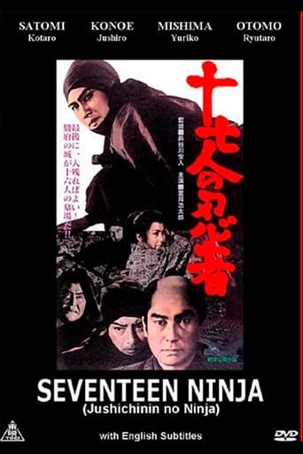 Poster of Seventeen Ninja