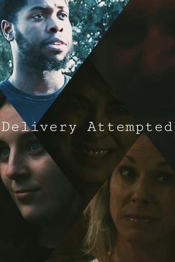 Delivery Attempted Poster of Delivery Attempted