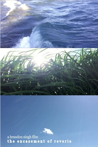 The Encasement of Reverie Poster of The Encasement of Reverie