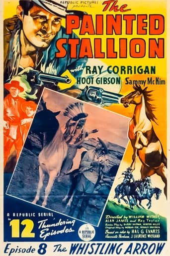 Poster of The Painted Stallion