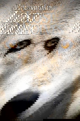 Land of the Lost Wolves Poster of Land of the Lost Wolves