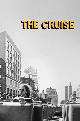 Poster of The Cruise