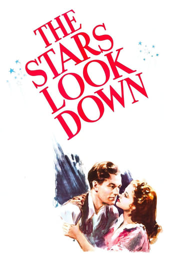 Poster of The Stars Look Down