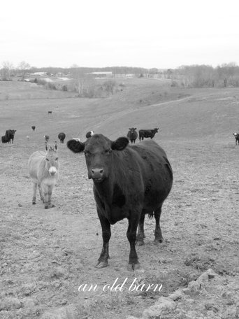 Poster of An Old Barn