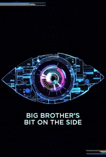 Poster of Big Brother's Bit on the Side