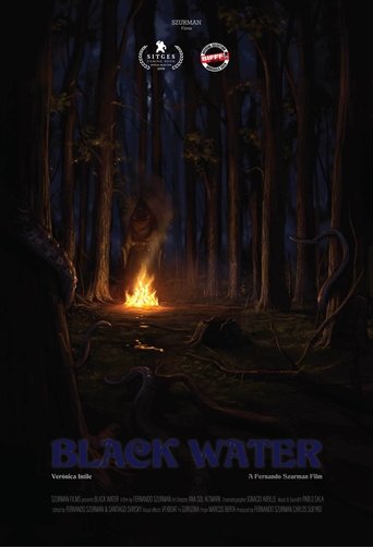 Poster of Black Water