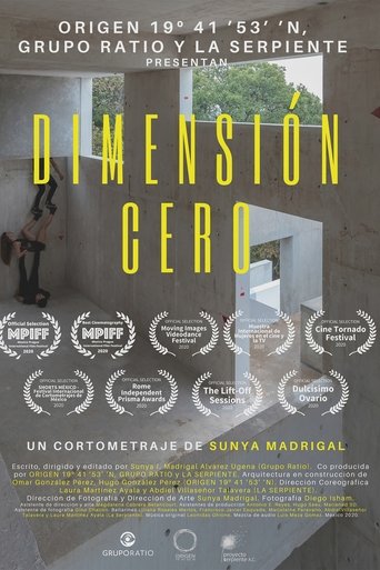 Poster of Zero Dimension