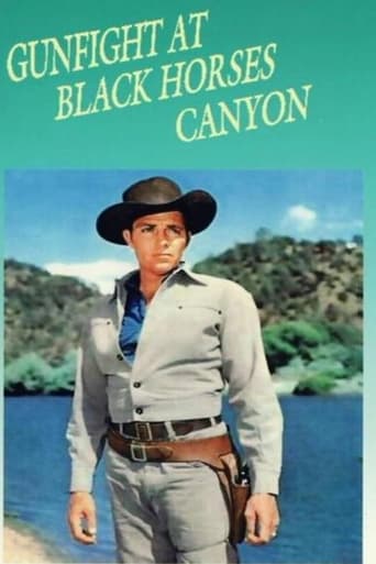 Poster of Gunfight at Black Horses Canyon