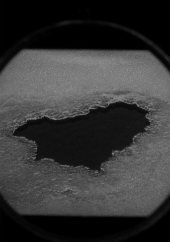 Polar Poster of Polar