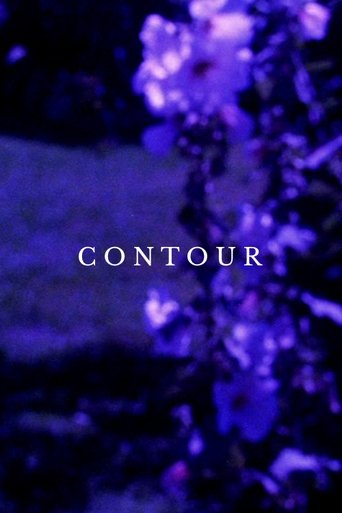Poster of Contour
