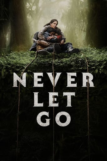 Poster of Never Let Go