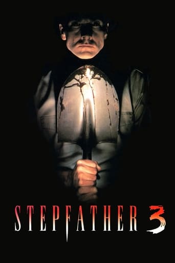 Poster of Stepfather 3