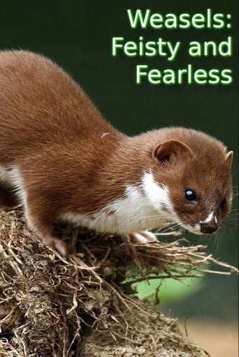 Poster of Weasels: Feisty and Fearless