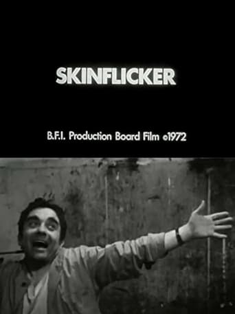 Poster of Skinflicker
