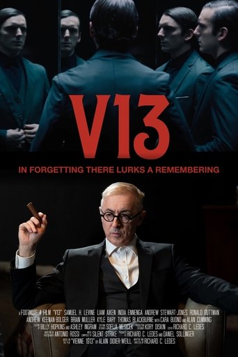 V13 Poster of V13