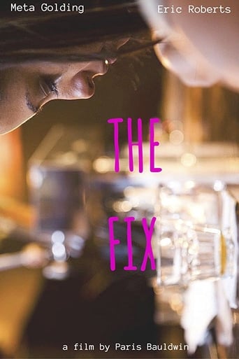 Poster of The Fix