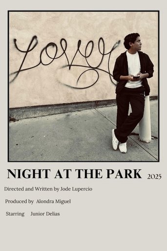 Night at the Park Poster of Night at the Park