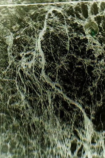 Poster of CLEARFILM