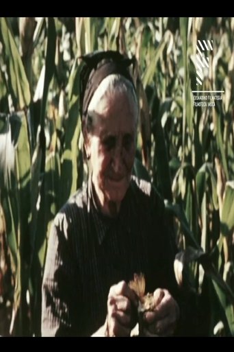 Poster of Aberria (Erria)