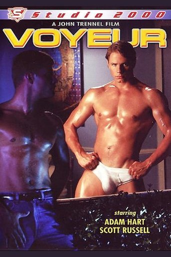 Poster of Voyeur