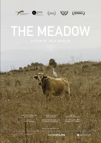 The Meadow Poster of The Meadow