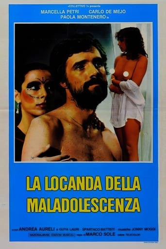 Poster of The Inn of Maladolescenza