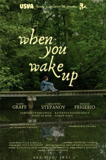 Poster of When You Wake Up