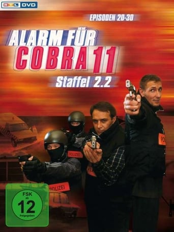 Portrait for Alarm for Cobra 11: The Motorway Police - Season 4