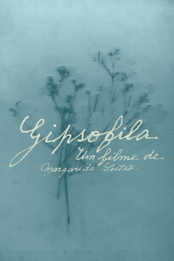 Poster of Gypsophila