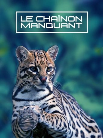 Poster of Le Chaînon Manquant