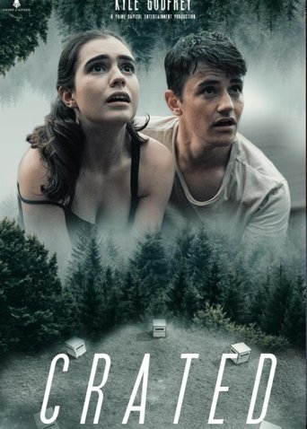 Poster of Crated