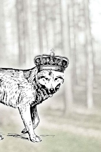 Canis Lupus Belgicus Poster of Canis Lupus Belgicus