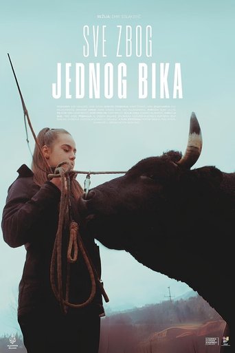About a Bull Poster of About a Bull