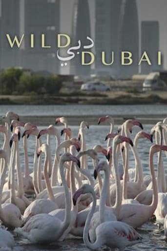 Poster of Wild Dubai