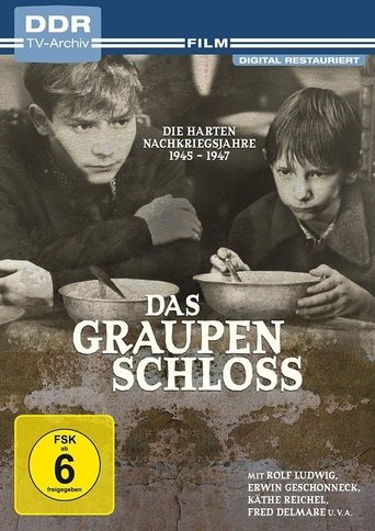 Poster of Das Graupenschloß