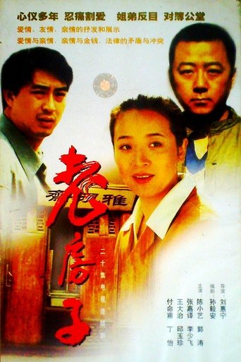 Poster of 老房子