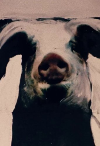 Poster of The Trail of the Pig