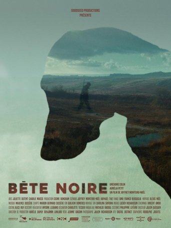Poster of Bête Noire